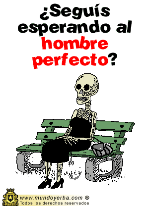 01.gif (11142 bytes)