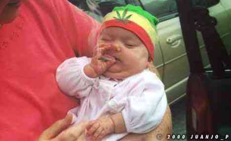 bebe_porro.jpg (8983 bytes)