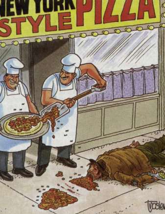 career19.jpg (29294 bytes)