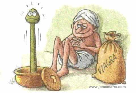charmeur_serpent_viagra.jpg (19051 bytes)