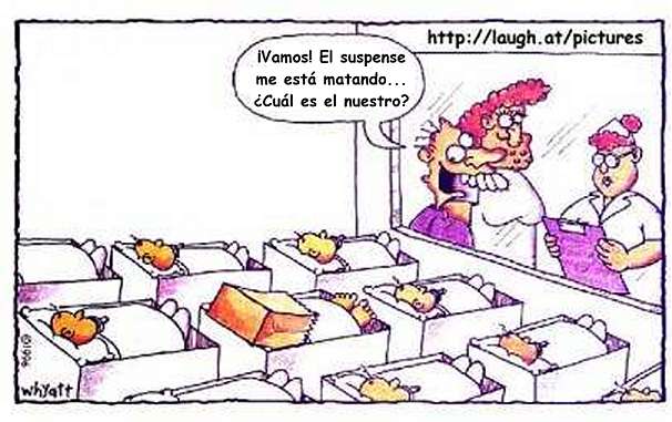 chiste6.jpg (41236 bytes)