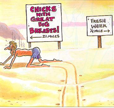 decisions.jpg (26717 bytes)