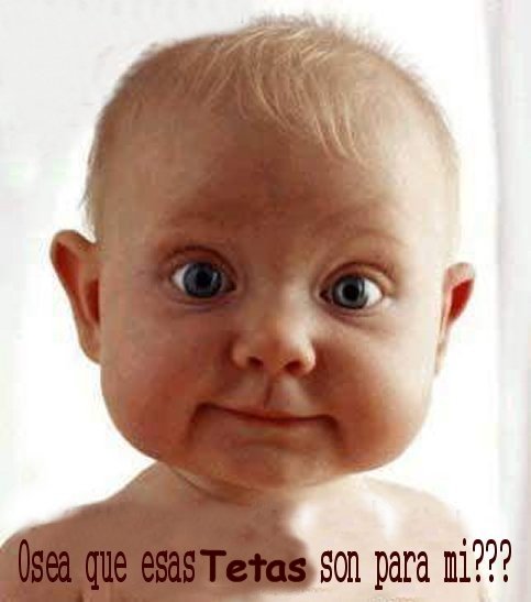 mans_first_moment.jpg (34045 bytes)