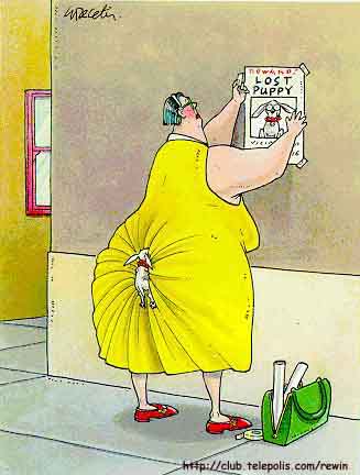 puppy[1].jpg (23131 bytes)